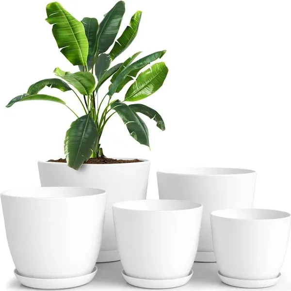 Utopia Home Plant Pots