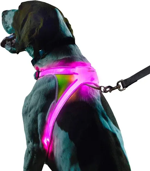 LightHound – Revolutionary Illuminated and Reflective Harness for Dogs Includ...