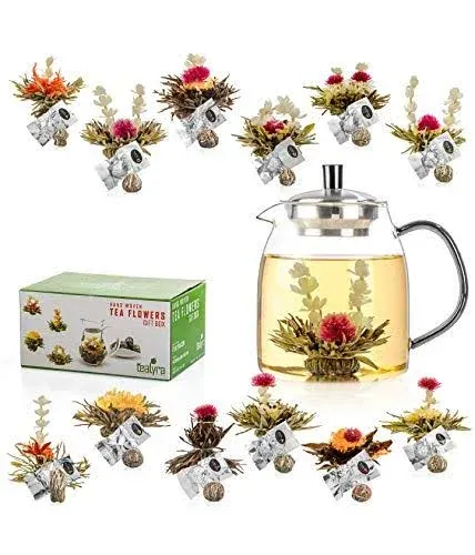 Tealyra - 12 pcs Blooming Tea and 30.5-ounce Glass Teapot Set - 12 Variety Flavors of Finest Flowering Teas - All Tea Balls Individually Sealed - Great Gift Bloom Teas Box