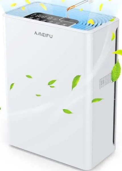 Air Purifiers for Home Large Room