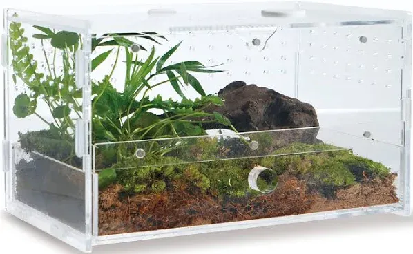 Acrylic Clear Reptile Habitat Enclosure Terrarium with Latch ，Perfect for Amphib