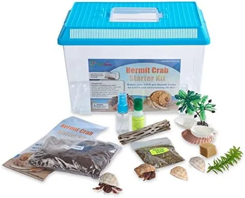 Nature Gift Store Live Pet Hermit Crab Complete Starter Kit