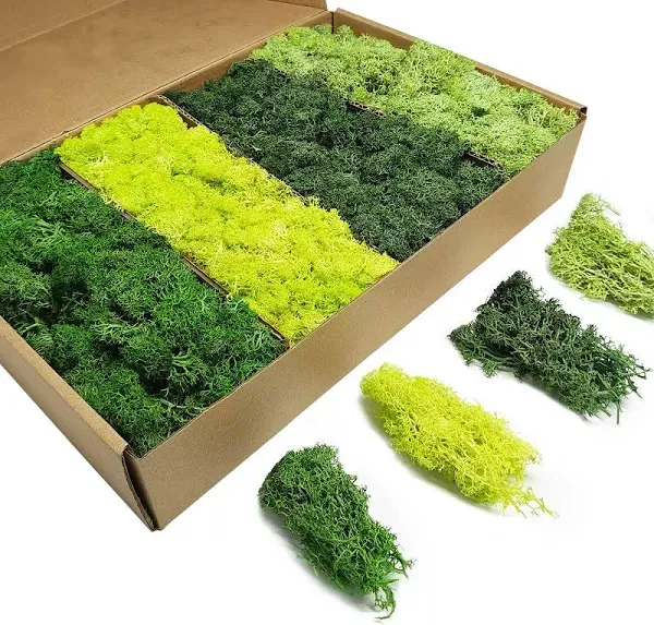 TurelinnG Preserved Moss 4 Color Reindeer Craft Moss Total 14 OZ Each Color 3.5 OZ