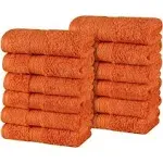 Superior Atlas Cotton Plush Heavyweight Face Towel Washcloth Set of 12 - Sandstone