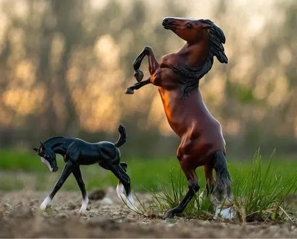 Breyer - Wild & Free Horse & Foal Set