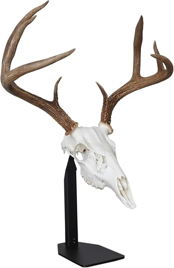 Dead On Display Desktop European Skull Mount Bracket