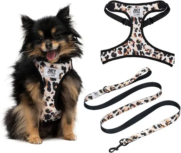 Juicy Couture Leopard Print Dog Harness and Leash Set – Adjustable Puppy Harness with Puppy Leash & Mesh Padding Dog Harness, Large