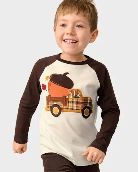 Gymboree Baby Boys and Toddler Embroidered Graphic Long Sleeve Raglan T-Shirts Shirt, Acorn Truck, 8 US