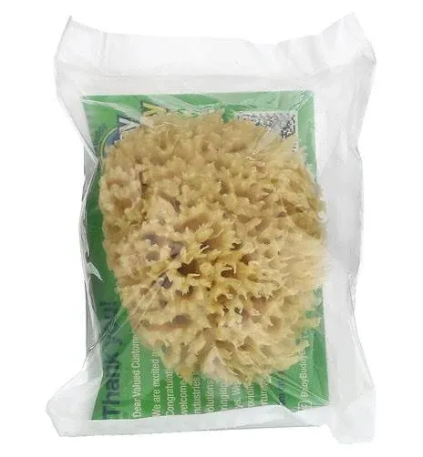 Natural Sea Sponge for Baby&#039;s Bath