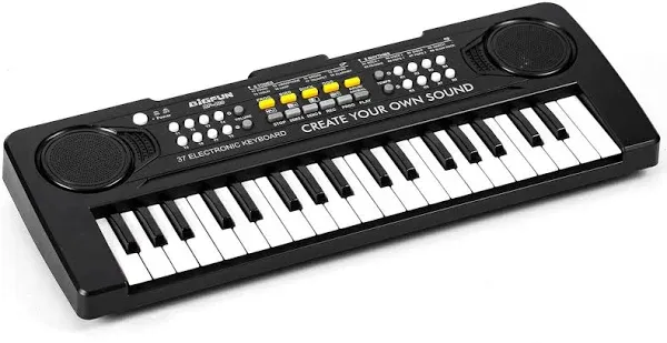 Raimy Keyboard Piano for Kids