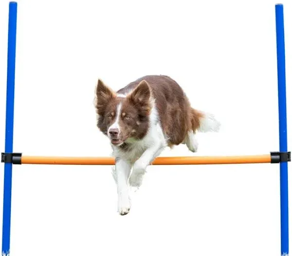 Dog Agility Hurdle, Portable Dog Agility Training, Adjustable Jumper, Exercise T