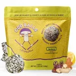 Odd Balls Organic Mushroom Energy Balls - Lemon