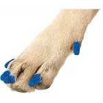 Purrdy Paws 40 Pack Soft Nail Caps for Dog Claws Blue Glitter Medium