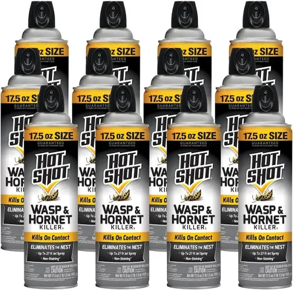 Hot Shot Wasp Hornet Killer