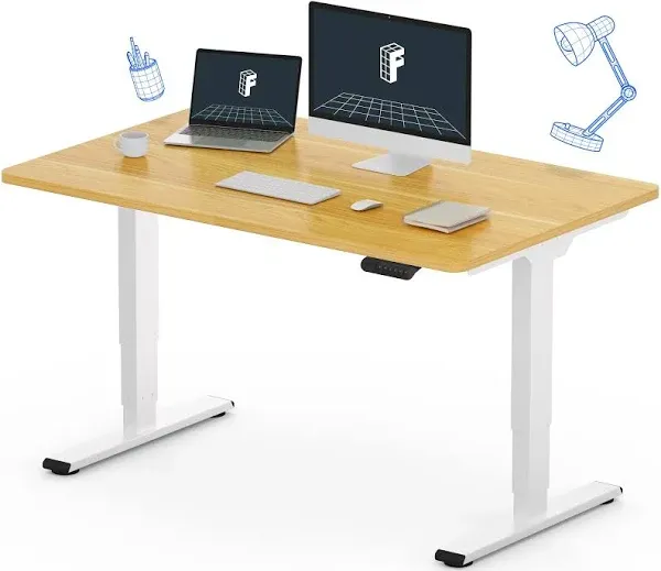 FlexiSpot E6 Essential Electric Standing Desk