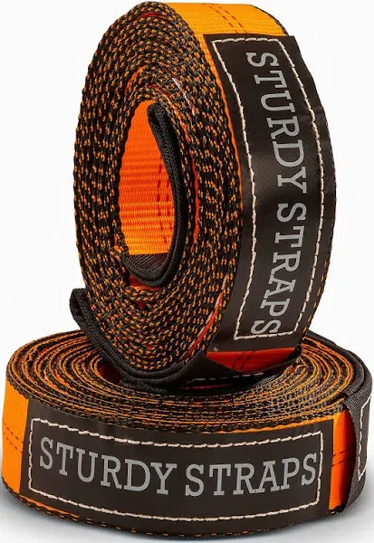 Sturdy Straps 18,800lb Lift Sling Straps 2-Pack 10 Feet x 2 Inches Long 2 Ply 11