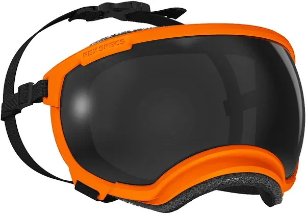 X-Small Goggles for Dogs - V2