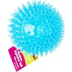 Gnawsome Medium Squeaker Ball Dog Toy