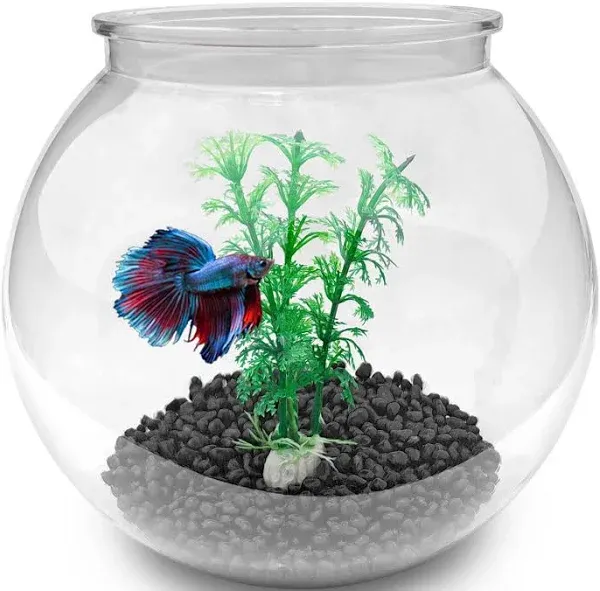 Newpol Mini Plastic Aquarium Fish Bowls (0.8Gallon / 3L)