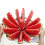 Extra Large Watermelon Slicer Cutter, Stainless Steel Melon round Fruit Veget...