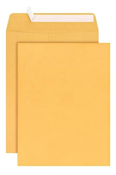 Basics 10 x 13-inch Clasp Kraft Envelopes, Gummed, 100-Pack 10" x 13"