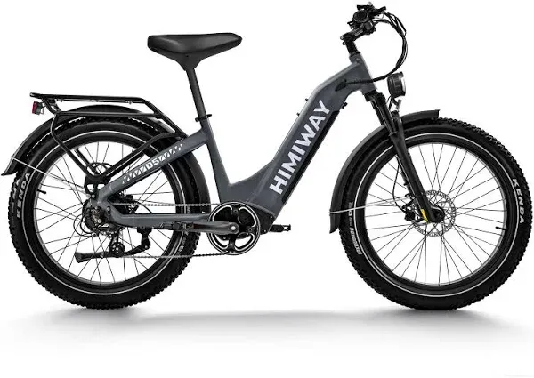 Himiway Zebra Electric Fat Bike