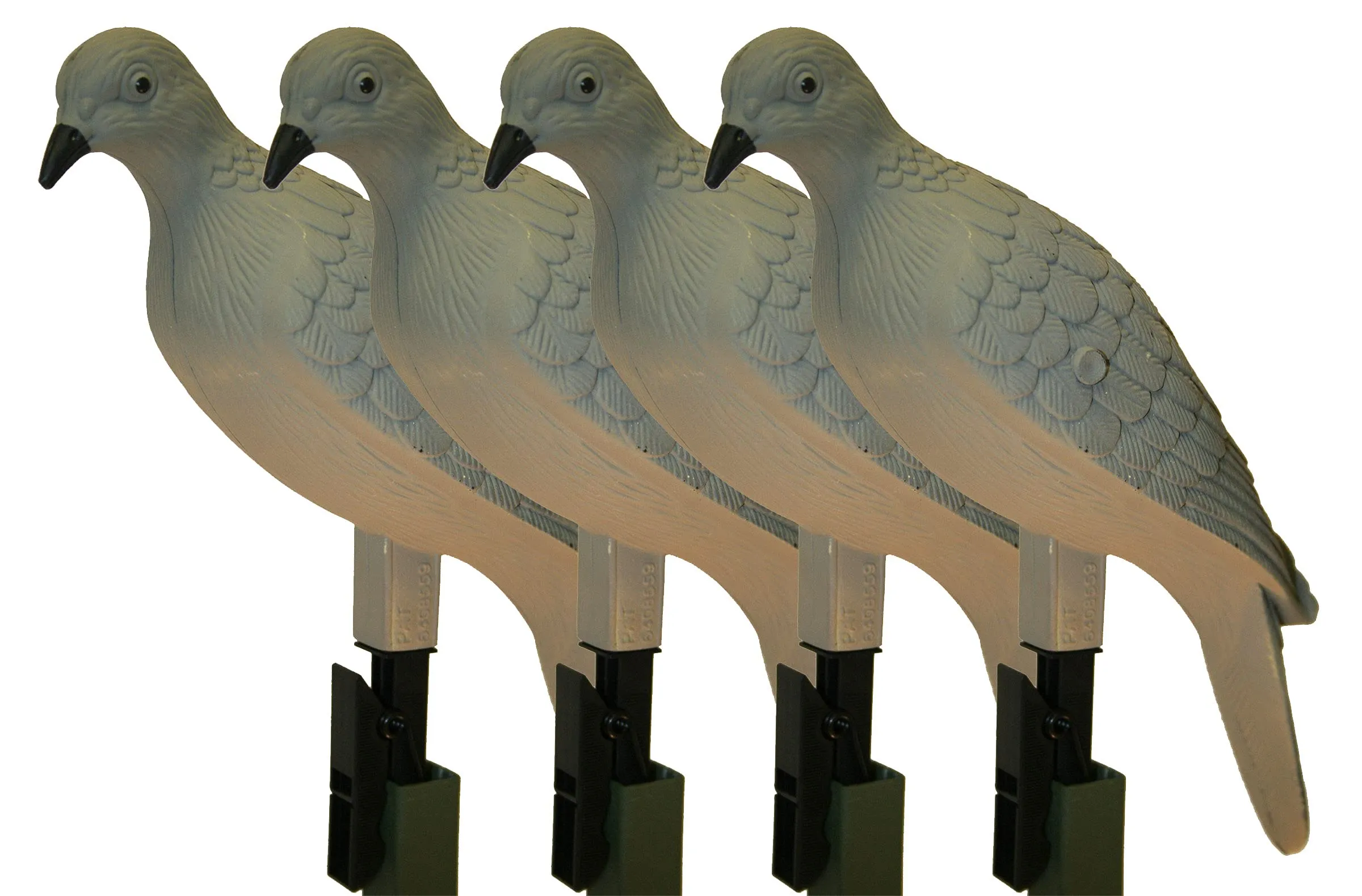 Mojo Dove A Flicker Decoys