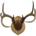 Walnut Hollow Solid Oak Antler Mount Kit