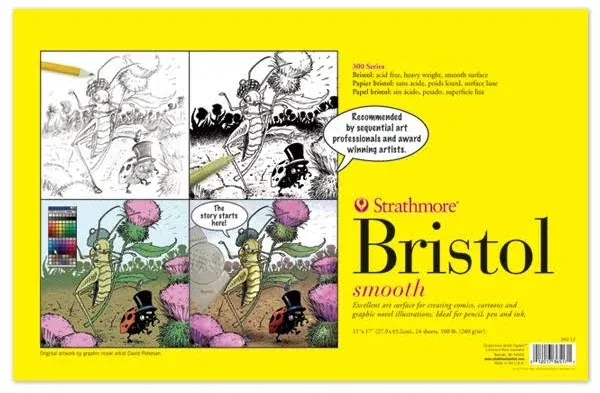 Strathmore 300 Series Bristol Paper, 11 x 17 Inches, 100 lb, 24 Sheets