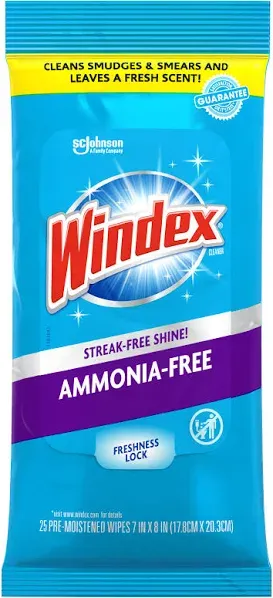 Windex Original Glass & Surface Wipes (28-Count, 12-Pack)