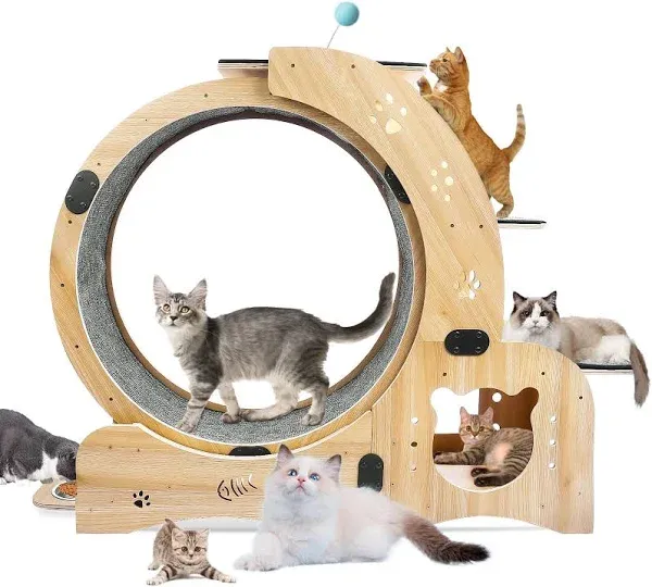 Cat Wheel 6-in-1 Cat Exercise Wheel,Upgraded Cat Wheel Exerciser for Indoor Cats,Large Cat Treadmill,Cat Running Wheel with Silent Wheel,Cats Loss Weight Device (6-in-1)