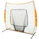 Bownet Big Mouth 2 Portable Catch Net | BowBM2