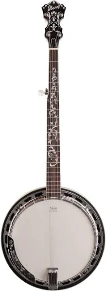 Ibanez B200 Banjo | Reverb