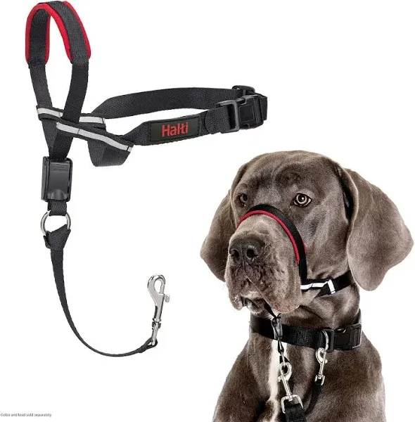 HALTI Optifit Headcollar - To Stop Your Dog Pulling on the Leash. Adjustable, Reflective and Lightweight, with Padded Nose Band. Dog Training Anti-Pull Collar for Large Dogs (Size Large)