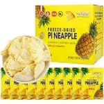 ONETANG Freeze-Dried Fruit Pineapple Chips, 10 Pack Single-Serve Pack, Non GMO, Kosher, No Add Sugar, Gluten free, Vegan, Holiday Gifts, Healthy Snack 0.35 Ounce