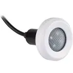 S.R. SMITH FLED-C-TR-30 5w 12v 30' Color Treo Led Light