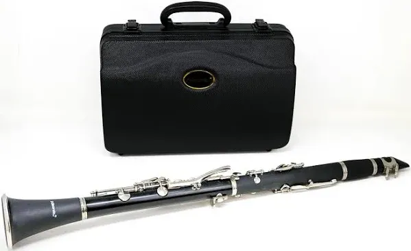 Hisonic Brand Series Orchestra Clarinet with Case - Black/ SEE DESCRIPTION