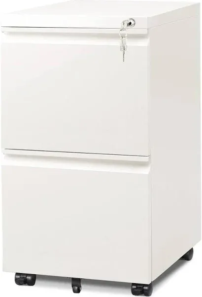 DEVAISE 2-Drawer Mobile File Cabinet with Lock