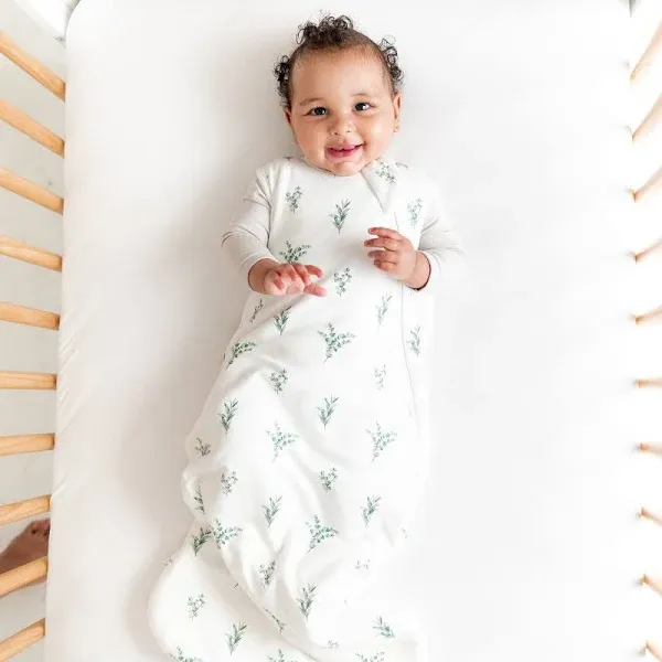 Kyte Baby Sleep Bag - Eucalyptus 1.0 S at Maison Baby & Kids