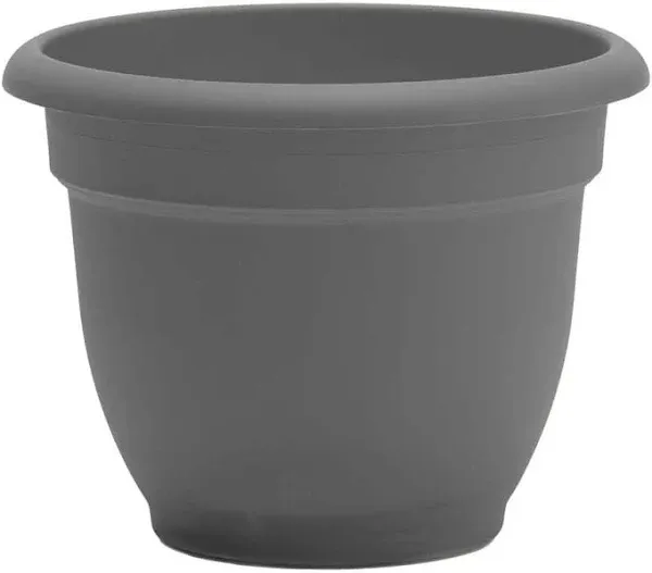 Bloem 8" Chocolate Plastic Ariana Self-Watering Planter