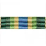 Vanguard Ribbon Unit Armed Forces Service Medal