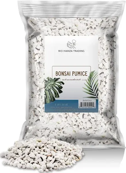 2 LB Horticultural Bonsai Pumice Soil Amendment for Bonsai and Cactus Plants