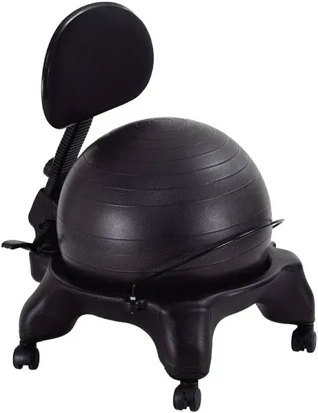 Aeromat Adjustable Fit Ball Chair