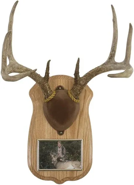 Walnut Hollow Country Deluxe Antler Display Kit