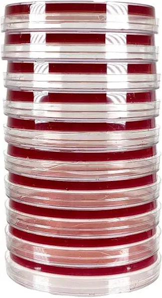 Red Blood Agar (RBA), TSA with 5% Sheep Blood (10-Pack). Pre-Poured, 15x100mm Plates. Used to Detect Hemolysis.