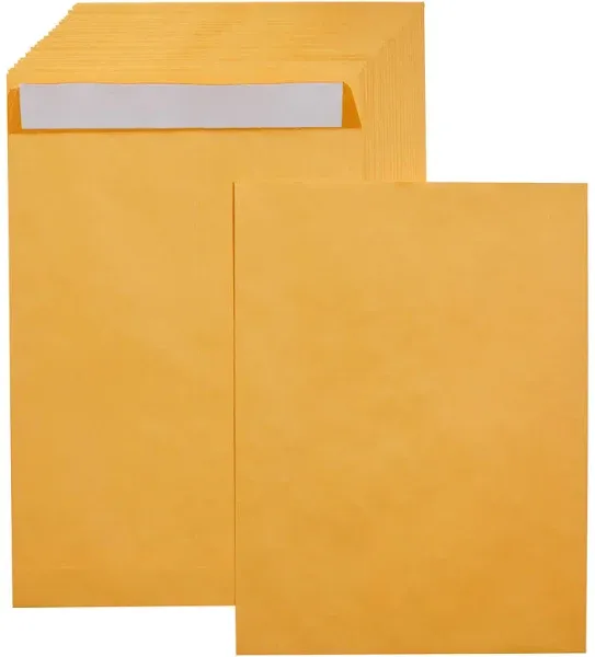 Amazon Basics 10 x 13-Inch Gummed Seal Clasp Kraft Mailing Envelopes