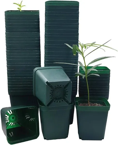 RooTrimmer Square Nursery Seedling Pot