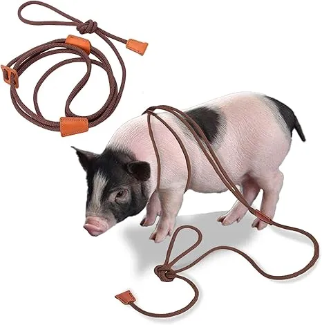 Mini Pig Harness and Leash, Adjustable Pig Harness Infinity Style Pig Supplies for Walking and Jogging Pets Also Fits Large, Medium and Small Piggy and Other Small Animals Brown