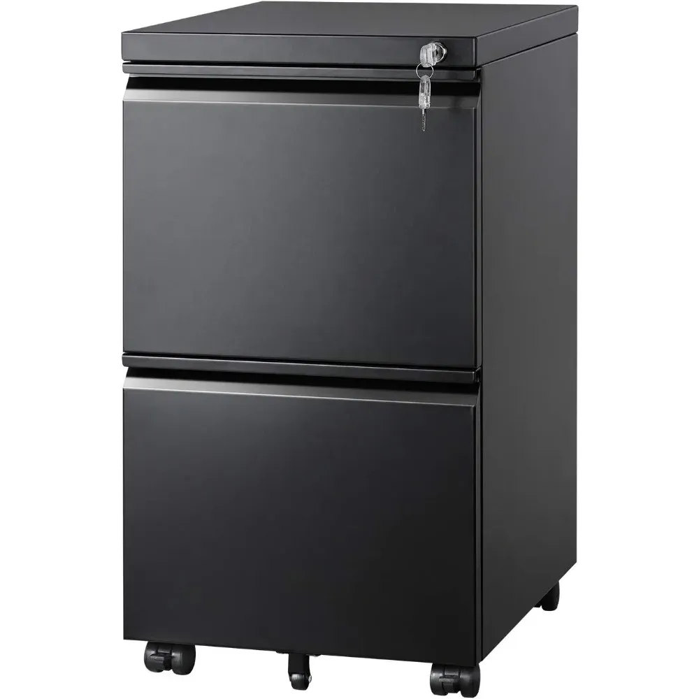 DEVAISE Metal 2-Drawer Mobile File Cabinet with Recessed Handles and Lock