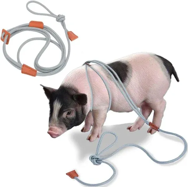 Mini Pig Harness and Leash, Adjustable Pig Harness Infinity Style Pig Supplies for Walking and Jogging Pets Also Fits Large, Medium and Small Piggy and Other Small Animals Brown